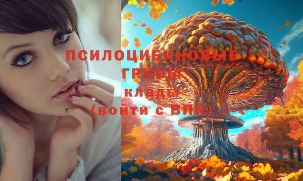 mdpv Алексеевка
