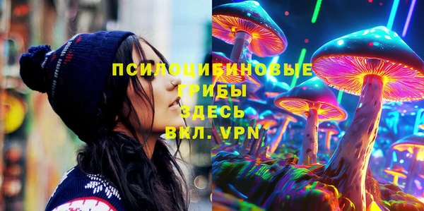 шишки Алзамай