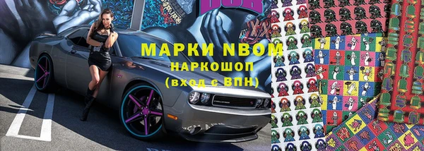 шишки Алзамай