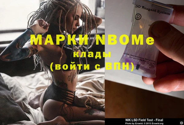 шишки Алзамай